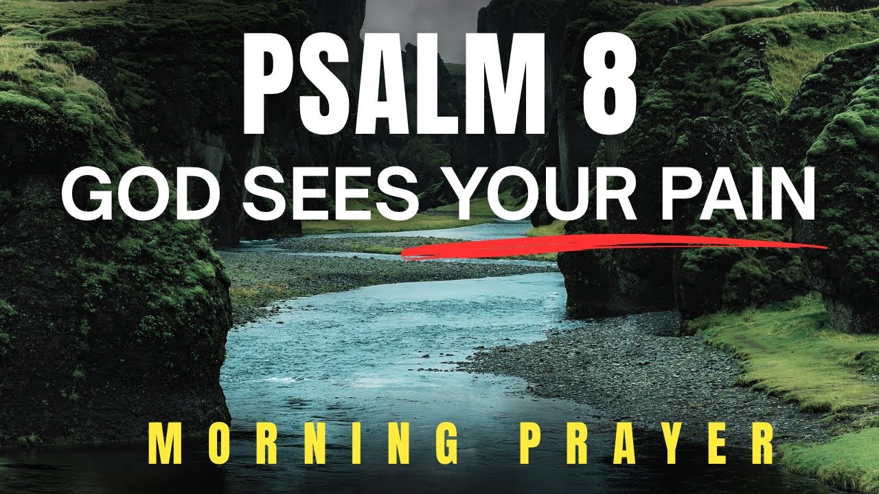 You Are Not Forgotten — A Psalm 8 Prayer That Will Lift Your Heart | Morning Prayer