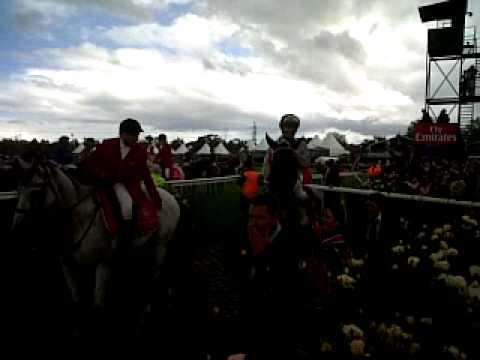 Melbourne Cup 2010 - Post Race