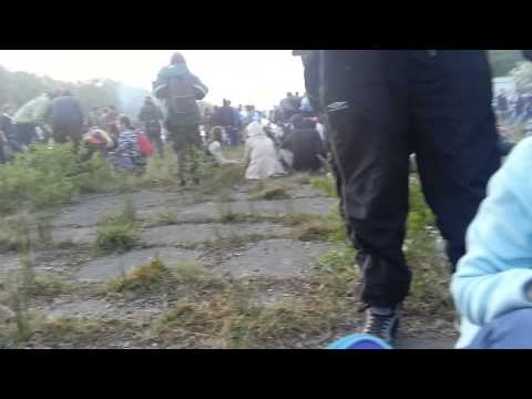 uk tek 2015 freeparty