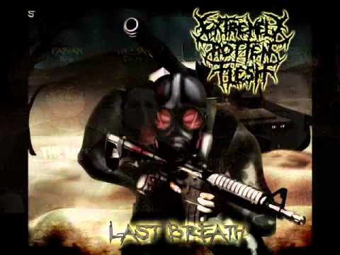 EXTREMELY ROTTEN FLESH - Buried at born - 2013