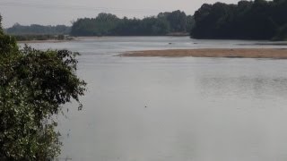 A Part of Kaveri River, Thanjavur