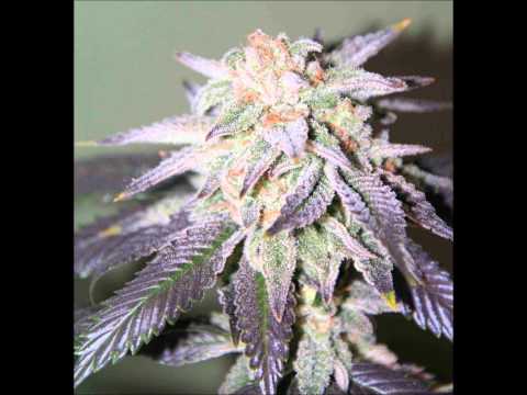 Dimitri from Paris - le soundtrack