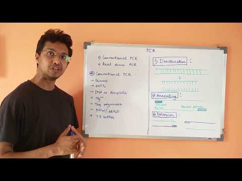 PCR Introduction  #1 PCR SERIES