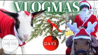 TAKING OUR HORSES & GOATS TO A CHRISTMAS PET PARADE | VLOGMAS 2022 (Day 3)