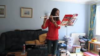 'Boulevard of Broken Dreams' on flute