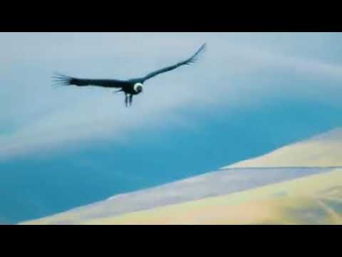 𝐃𝐔𝐎 𝐏𝐈𝐍𝐓𝐀𝐒𝐐𝐀 🎙𝐓𝐞𝐦𝐚 MI PROVINCIA GRAU