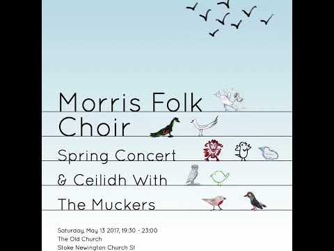 Morris Folk Choir, Birds Concert 2017. 11: Dej Mi Boze