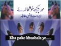 Pashto saaz Kha pake khushala ye with cockroach dance