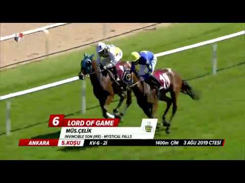 BU GÜN ADANA ROYALİZ İSİMLİ SAFKANI TEK YAZIYORUZ