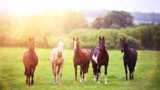 The Sun Is Shining Third Day