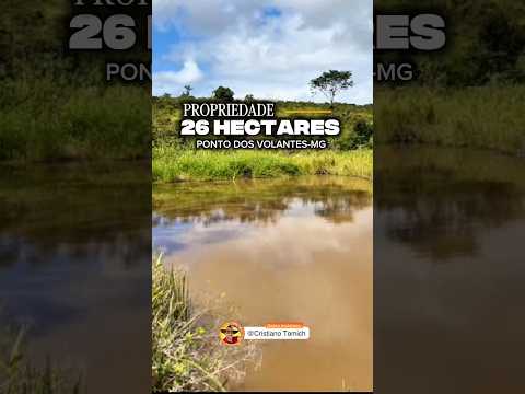 EXCELENTE PROPRIEDADE 26 HECTARES PONTE DOS VOLANTES-MG R$ 320 MIL #luxo #roça #rural #agro #brasil