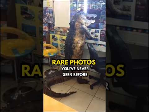 8 Rare Photos That Will Blow Your Mind!