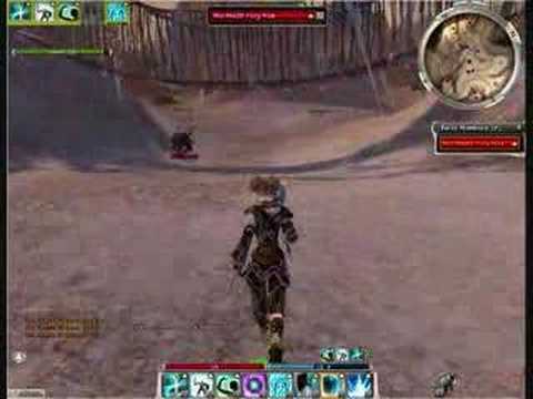 Guild Wars: 55hp Monk Elona Reach Minotaur Farming