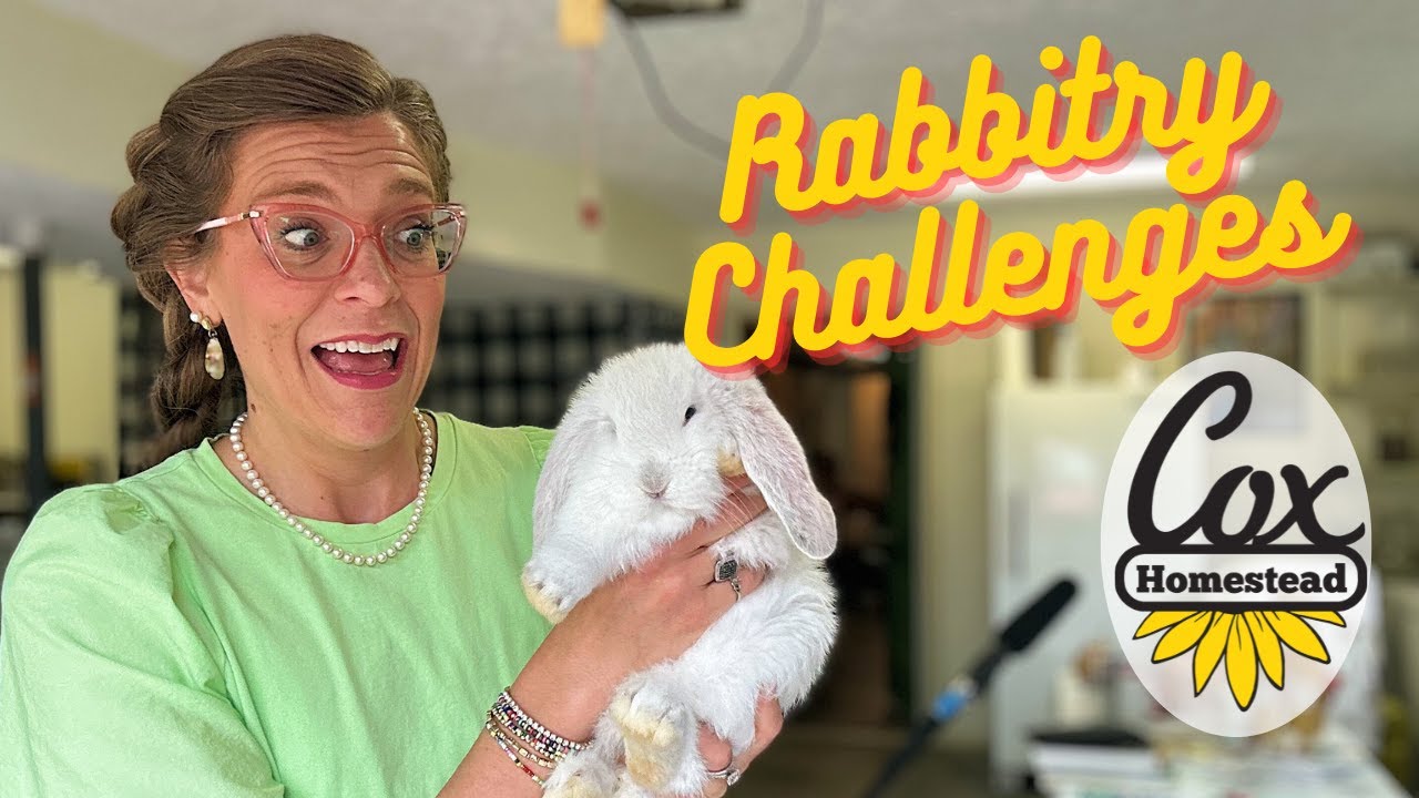 the BIGGEST obstacles in my rabbitry RIGHT NOW!