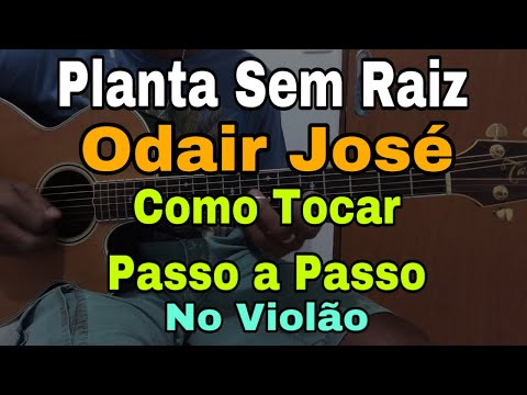 Planta Sem Raiz - Odair José