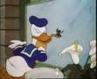 Donald Duck - Window Cleaners 