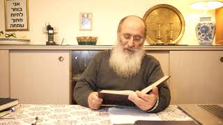 עיונים בהלכות בני נוח ב' רב שרקי