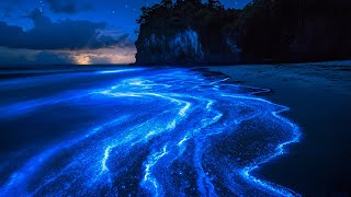 Fall Asleep in Minutes with Ocean Waves – Stress and Anxiety Relief Through Relaxing Sea Sounds