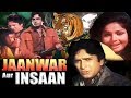 Jaanwar Aur Insaan Full Movie Shashi Kapoor Hindi Movie Rakhee Gulzar Superhit Hindi Movie