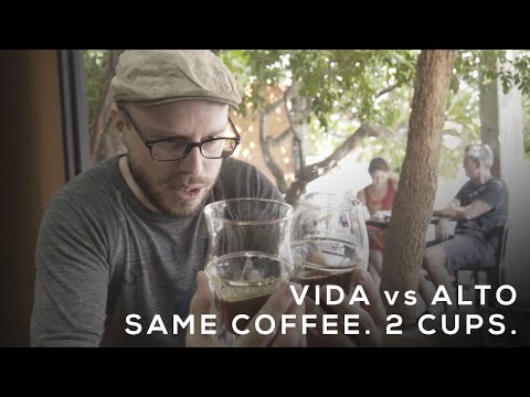 Explore & Discover the Flavors of your Coffee [ALTO Vs VIDA]