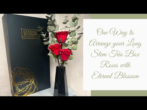 Arranging your Long Stem Trio Box of Roses with Eternal Blossom