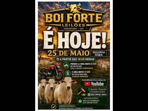 BOI FORTE LEILOES UIRAPURU-GO 25/05/2026