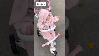 2025.10.27 セリンのまいにち日記 / うさぎセリンの秋さんぽ🐰🍂