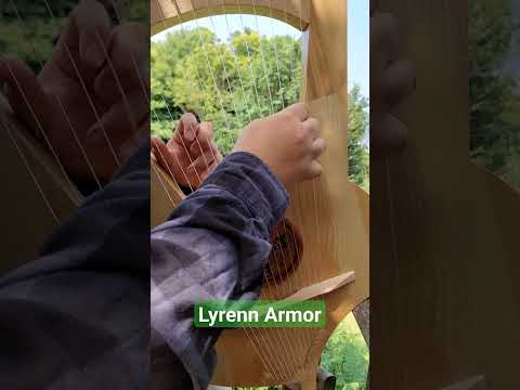 Lyrenn armor - Château de la Roche Jagu #lyremusic #celtimusic #paganmusic #bard #castle #lyre