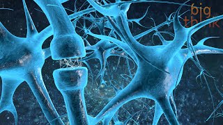 The Neurochemistry of Flow States, with Steven Kotler