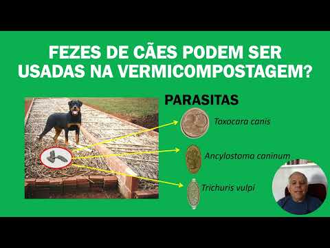 RISCOS ASSOCIADOS AO USO INADEQUADO DE FEZES CANINAS NA COMPOSTAGEM OU NA MINHOCULTURA