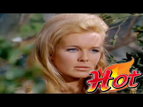 The Big Valley Full Episodes 🎁 Season 1 Episode 28🎁 Classic Western TV Series