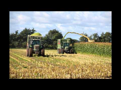 Maisernte 2012 - LU Henke - HD