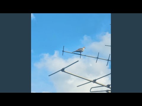 Пункт призначення (Instrumental)