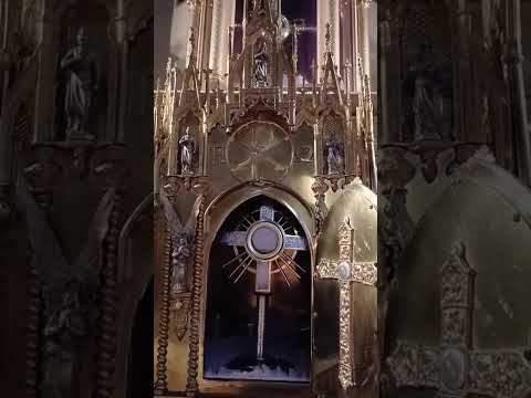 Adoración al Santísimo Sacramento del Altar con el Padre Fabian Esteban Oliva. 28/12/25