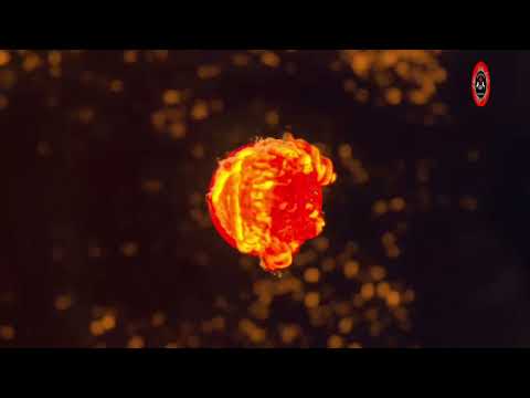 Las 3  categorías por Villa Mantero 2025