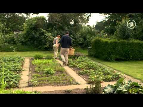 Wie gut ist unser Gemüse