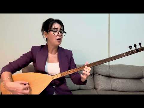 Sevilay GÖK -Gova Gova İndirdiler Yazıya (Kırşehir/Neşet Ertaş)