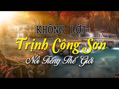 Nhạc Không Lời Trịnh Công Sơn Nổi Tiếng Thế Giới, Hòa Tấu Guitar Những Bài Hát Của Các Ns Tài Hoa