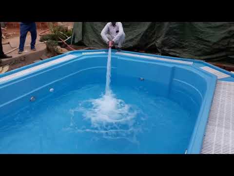 download lagu mp3 mp4 Indoor Swimming Pool In Jaipur, download lagu Indoor Swimming Pool In Jaipur gratis, unduh video klip Indoor Swimming Pool In Jaipur