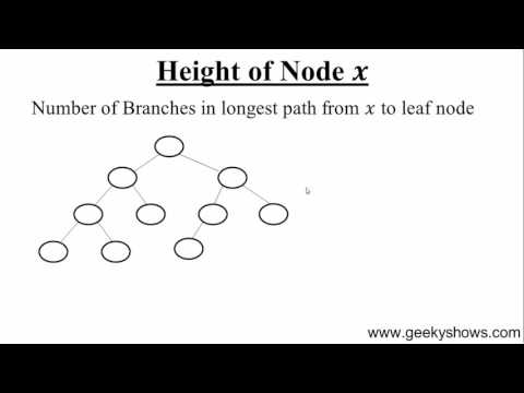 96 Height of Tree and Node Hindi