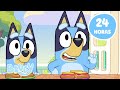 AO VIVO Bluey Episódios Completos Em HD 24 HORAS Melhores Episódios De Bluey Bluey