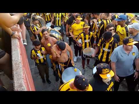 "Entrada de percucion2018" Barra: Barra Amsterdam • Club: Peñarol