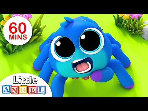 L'Araignée Gipsy - 1H de Comptines et Chansons en Français pour Enfants - Éducatif