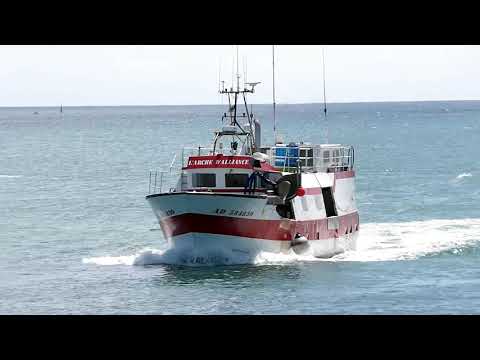 "L'ARCHE D'ALLIANCE" (AD584830)