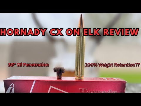 .50cal BP, Testing Hornady's 385gr Great Plains Bullets, in Clear Ballistics Gel
