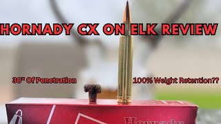 Hornady 165 CX On Game Review. As Good As They Say, Or More Marketing Hype!