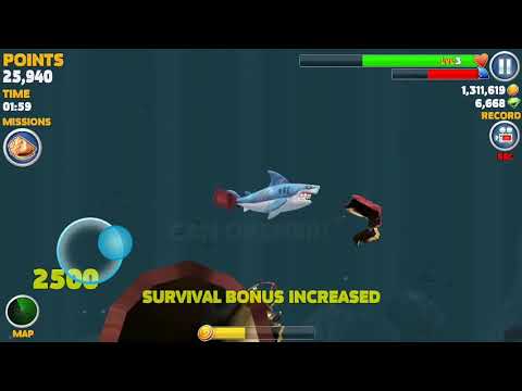 Hungry 🦈 yorel new wereshark.