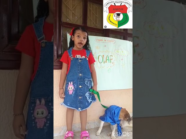 Video 8