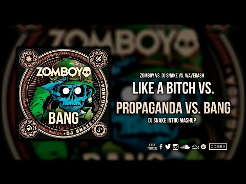 Like A Bitch vs. Propaganda vs. Terror Squad vs. Bang (DJ Snake Intro 2016 Edit)