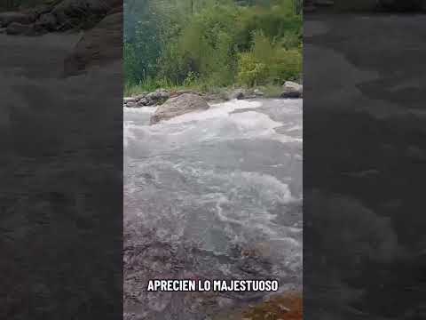 Rio Yala - Jujuy 🌵 Argentina 🇦🇷 #paisajes #nature #rios #viral #viralshort #funny #paz #suscribete♥️